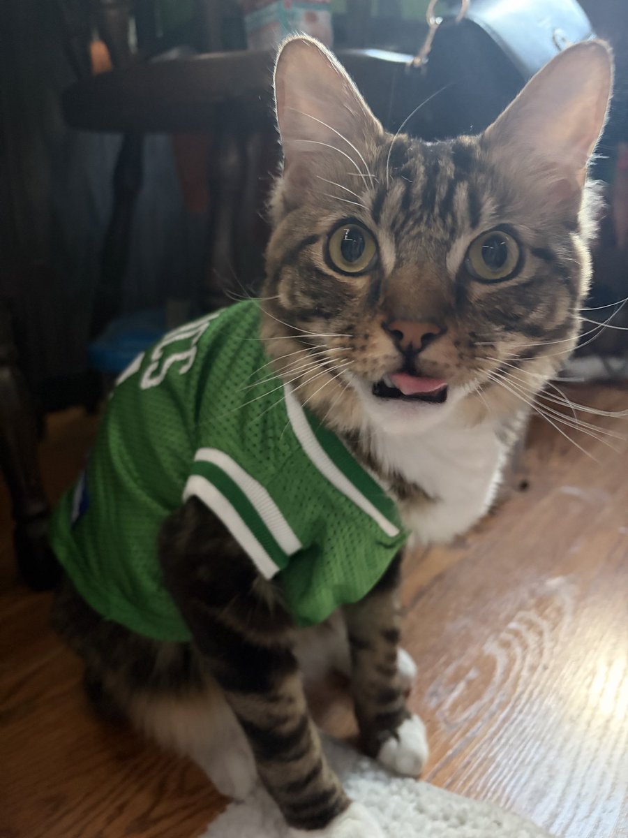 ilyprospekt's tweet photo. @FCHWPO https://t.co/3IHPFvufXh