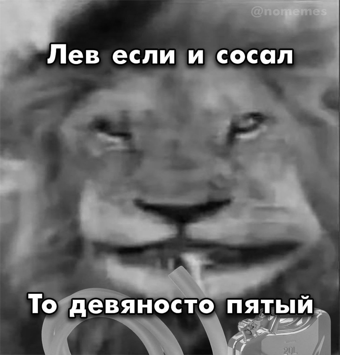 VotTebeNik's tweet photo. @midnight_bat86 https://t.co/T3mbiRwAVM