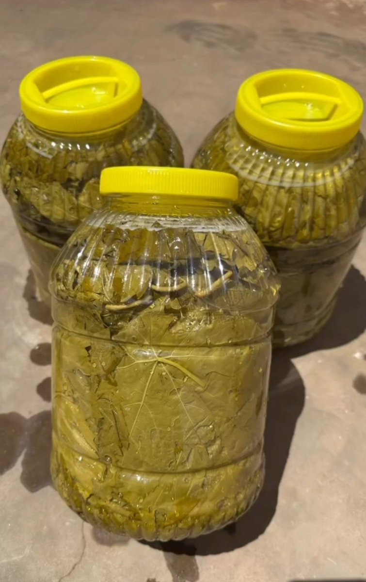 2cocukannesi1's tweet photo. Canlarım bir desteğinizi isteyeceğim 🤍
Evime katkı olsun diye doğal ve güzel ürünler satıyorum 🌿
Mantıdan zeytinyağına, salçadan tarhanaya, kuruyemişten peynire kadar birçok ürünümüz var ✨
🥟 Mantı
🫒 Zeytinyağı
🍅 Salça
🥣 Tarhana
🥜 Kuruyemiş
🧀 Peynir
🌶️ Baharat
🍑 Kuru meyve
Liste isteyenler DM’den yazabilir 💌
Alamasanız bile RT yaparak destek olursanız çok sevinirim 🤍🙏