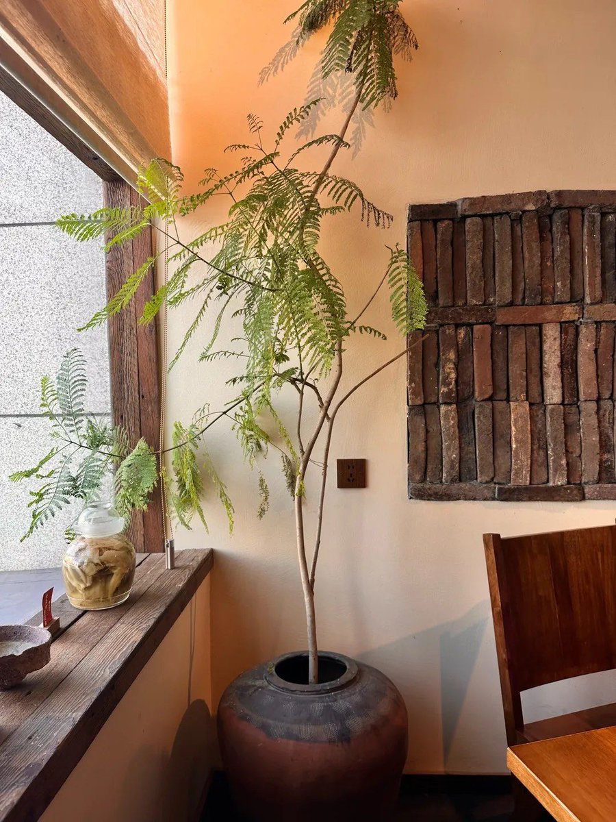 BrandonReeukoq's tweet photo. Turn an old mason jar into a cute herb planter with just some twine and paint! Perfect for small kitchens https://t.co/Tk3TZ67fzZ