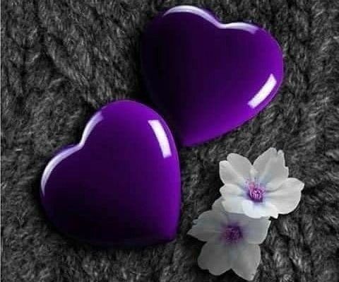 q_1q__'s tweet photo. 💜🕊️

  في سكوتي لو تجيد الاستماع
تفهم احساسي بلاصوت وظنون https://t.co/9NINKo4iND