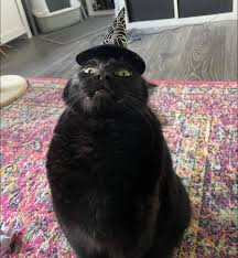 AndrewMarcio3's tweet photo. @EmmaBluebells @Sbrn65 @merynga1981 @massimo_va87009 chi ha lanciato l'incantesimo stringi cappello? https://t.co/wroePM8hJG