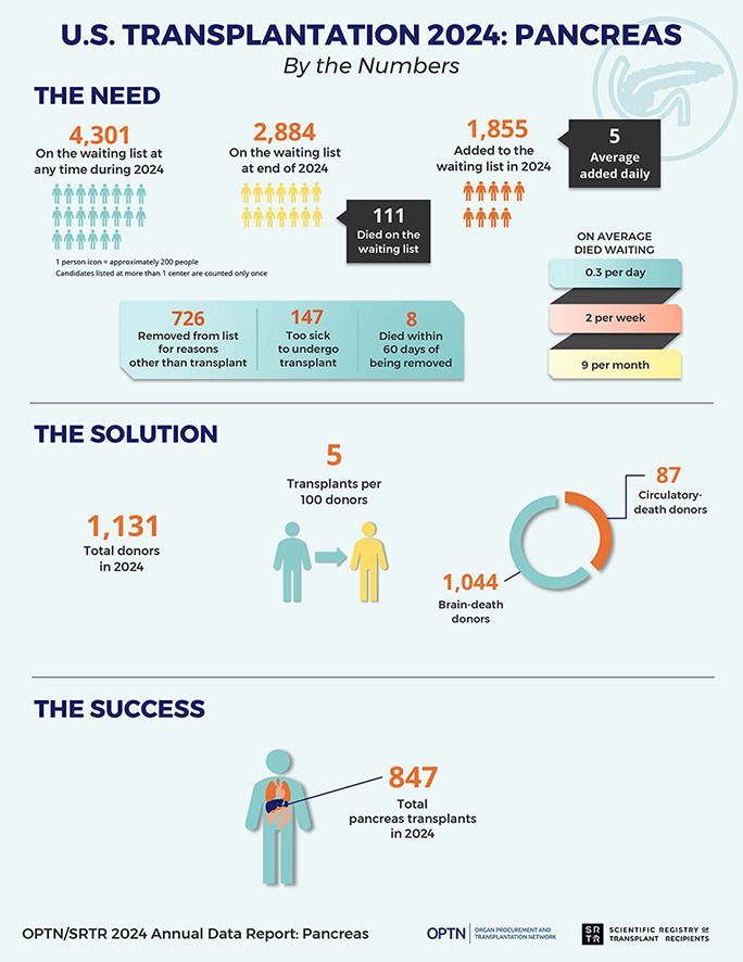 amjtransplant's tweet photo. 📢 Available now—FREE access!
OPTN/SRTR 2024 Annual Data Report: Pancreas
https://t.co/C4E5kbKPo4
#PancreasTransplant #Transplantation #Diabetes #TransplantData #OPTN #SRTR https://t.co/9SaNDENLXc