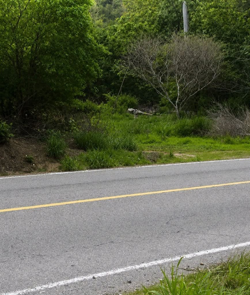 RadioCosta_'s tweet photo. #AlMomento #UNIRnoticias | Informa Proteccion Civil Ac de #ReporteCiudadano de presunto avistamiento de un cuerpo a la altura del Km 67 de  #CarreteraFederal200, entre #Chamela y #SanMateo en #LaHuerta.
Autoridades ya acuden al servicio.
INFORMACIÓN EN PROCESO https://t.co/9wzKQgoHXM