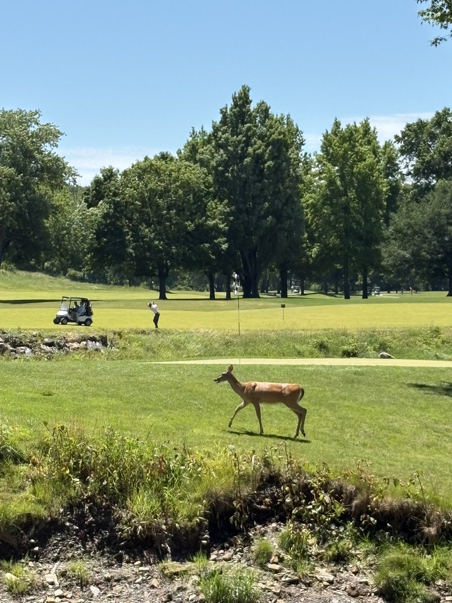 PatJonesTweets's tweet photo. Big thanks to the @nogcsa1923 for the invite to attend their June meeting at @valley_eagles yesterday. Awesome catching up with many local friends and I was honored to give a talk on the state of the industry. Appreciate ya! https://t.co/S6jNmBwMFF