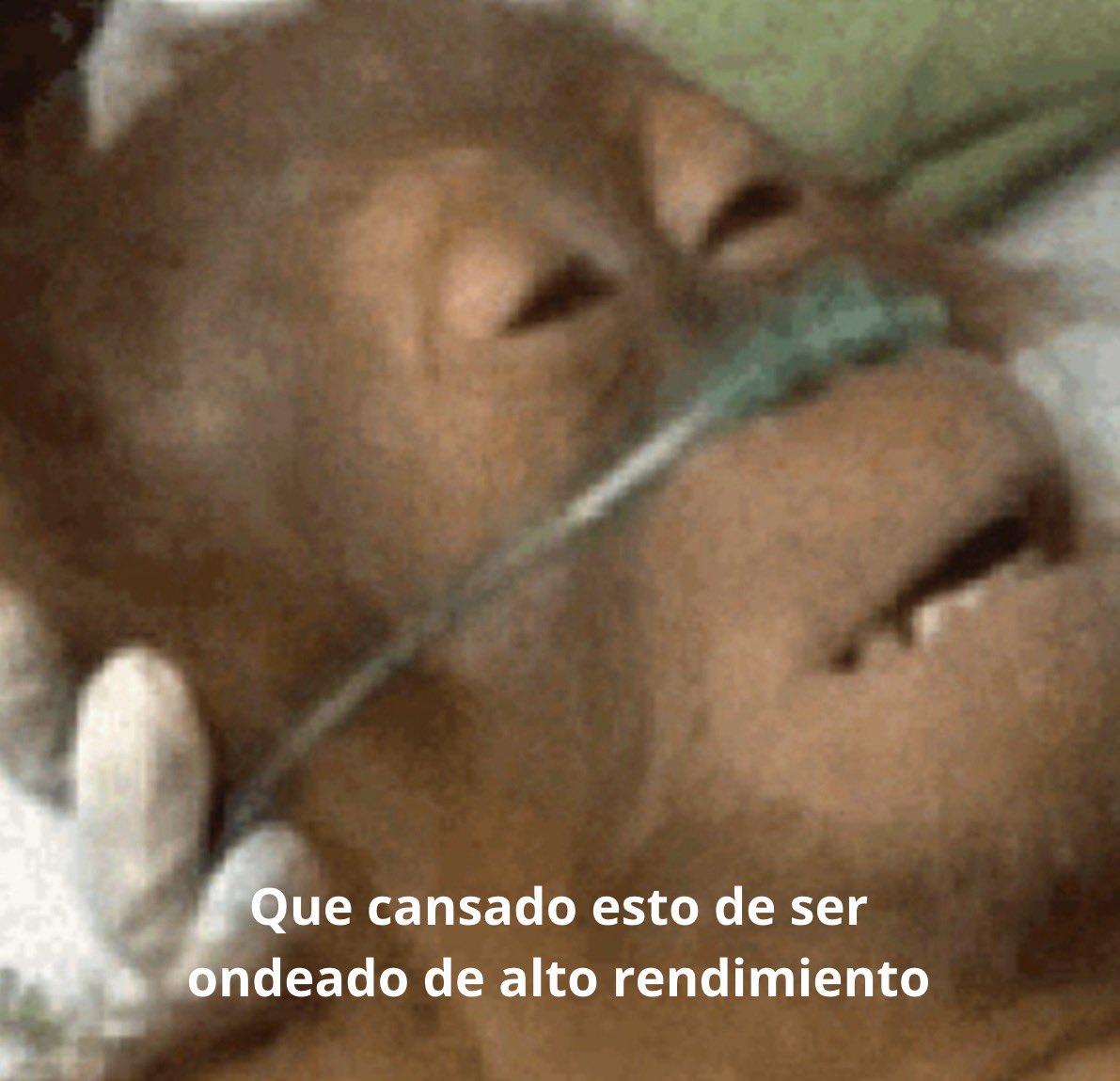 conoloracigarro's tweet photo. https://t.co/yMZ6iauX9m