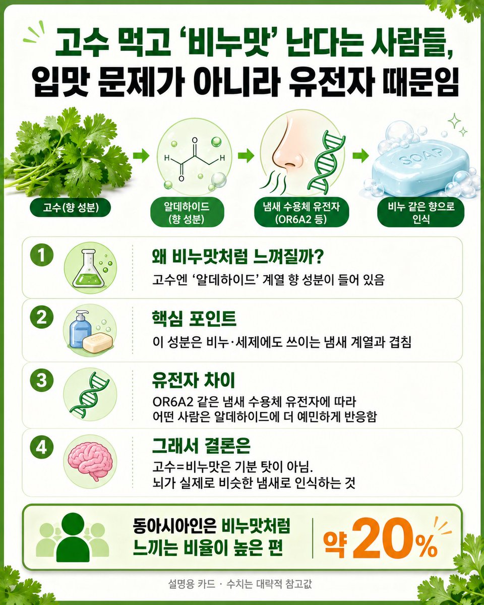 biojuho's tweet photo. 고수 먹고 "윽, 비누맛 난다"는 사람들 있잖아. 
그거 입맛 까다로워서가 아니라 유전자 때문임.

고수엔 '알데하이드'라는 
냄새 물질이 들어 있는데, 
이게 진짜로 비누나 세제에도 쓰이는 
바로 그 계열 물질이거든. 

근데 사람마다 냄새 맡는 
수용체 유전자(OR6A2 같은 거)가 달라서, 
어떤 사람은 이 알데하이드에 
유난히 예민하게 반응함. 

그런 사람 뇌엔 고수가 진짜로 
'비누 냄새'로 입력되는 거지.

그러니까 "고수=비누맛"은 기분 탓이 아님. 

코가 실제로 비누랑 같은 
화학물질을 잡아내고 있는 거였음.

재밌는 건 이게 인종마다 
비율이 달라서, 
동아시아인이 
비누맛 느끼는 비율이 
제일 높은 편(약 20%)이라는 거. 

한국에서 고수 질색하는 사람 유독 많은 게, 
그냥 유난이 아니었을 수도 있음 ㅋㅋ