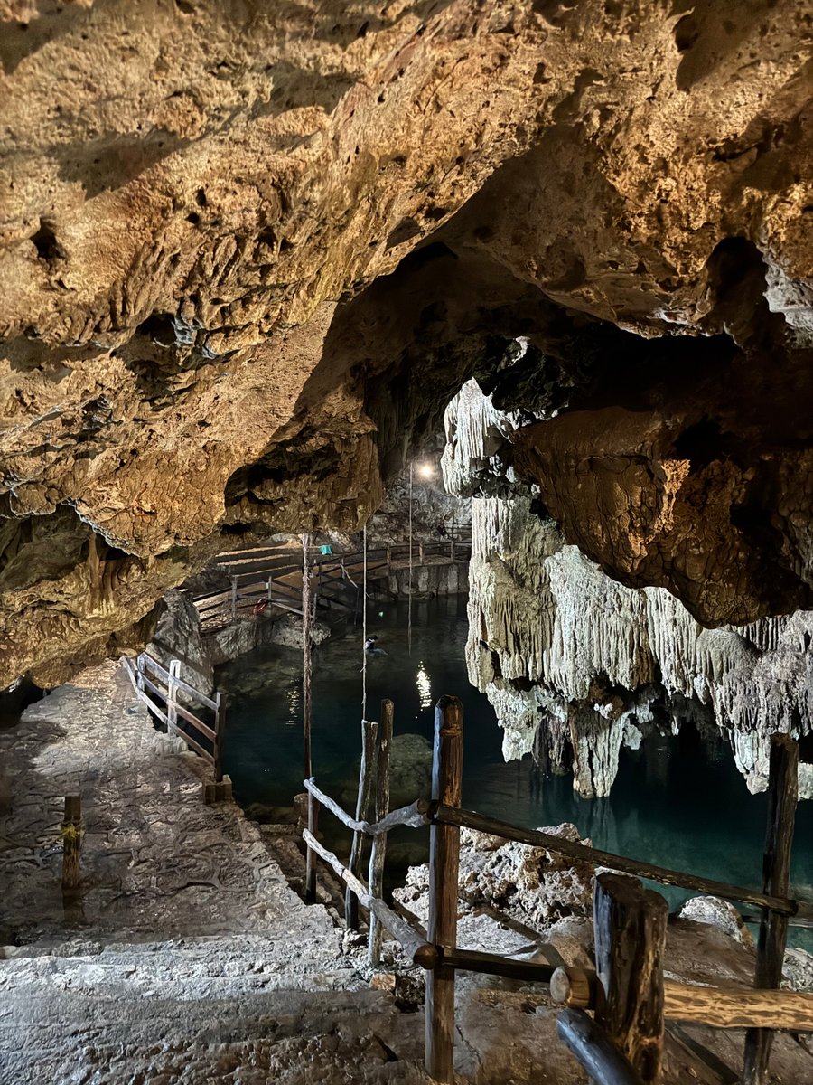 carlaconwifi's tweet photo. Se atreverían a nadar en este cenote en México? 👀 https://t.co/1ElfKDfYvU