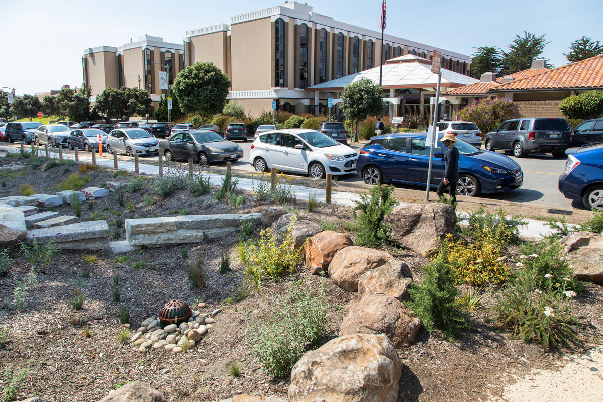MySFPUC's tweet photo. Looking for a fun way to connect with your community? Join us for One City Day on July 11! From planting native species to learning about green infrastructure, we're hosting five volunteer projects happening across SF.🌱

Find a project &amp; sign up at https://t.co/JagaqFm8lh https://t.co/vXKnDULnnz