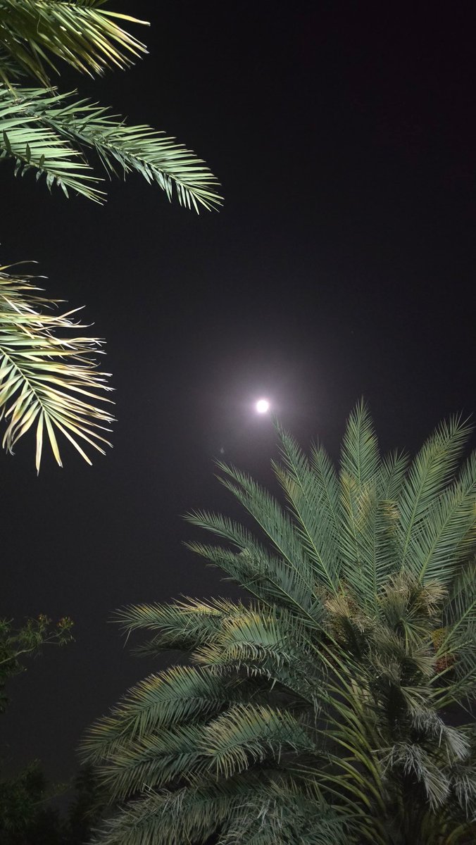 3493746's tweet photo. #صيد_الكميرا  #تصويري #غرد_بصورة #غرد_بشي_جميل #بيشة #يحدث_في_بيشة #طابت_ليلتكم #مساء_الخير_والسعادة_للجميع #عاشور https://t.co/5r5rDbMqgO