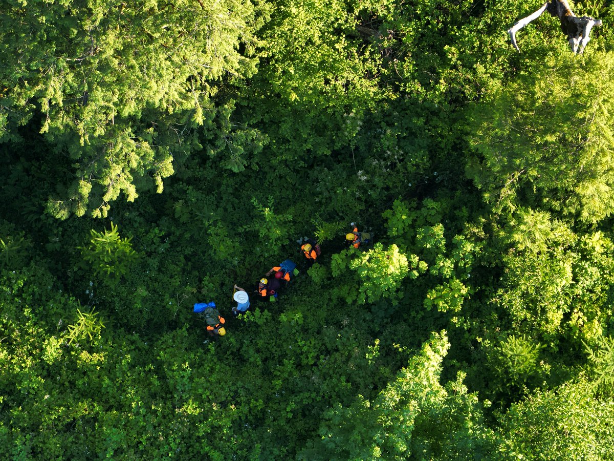 MultCoSO's tweet photo. Our deputies and the Multnomah County Search and Rescue (MCSOSAR) Team rescued a young teenager who had become trapped in a heavily wooded area in Corbett.

The rescue included a combination of specialized ground teams from MCSOSAR and the Multnomah County Sheriff’s Office Drone Team.

We recognize the quick and coordinated actions of our MCSOSAR coordinators, the search teams, and our drone operators for ensuring this incident concluded safely with zero injuries.

https://t.co/6zz5rkBjvq