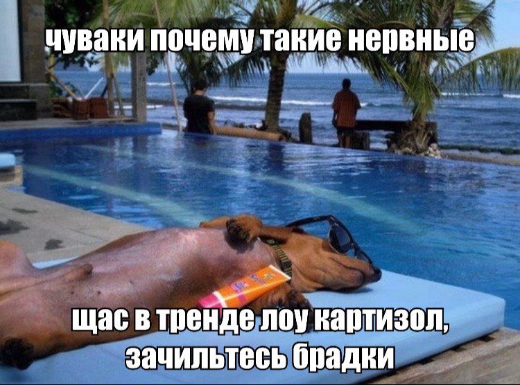 Roman_Lecter's tweet photo. @ReisyGemini всем... https://t.co/mjU6egEaQ7