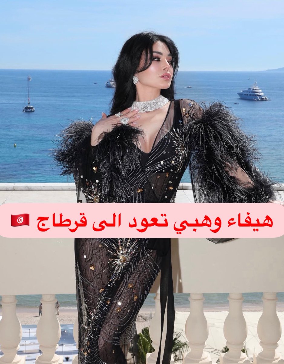 HAIFA WEHBE NEWS tweet media