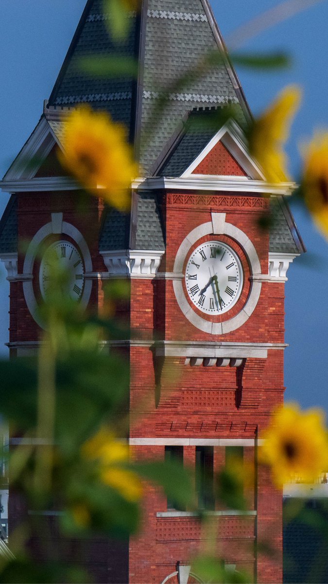 AuburnU's tweet photo. #WallpaperWednesday: Floral edition🌻 https://t.co/tK1iekRJuv