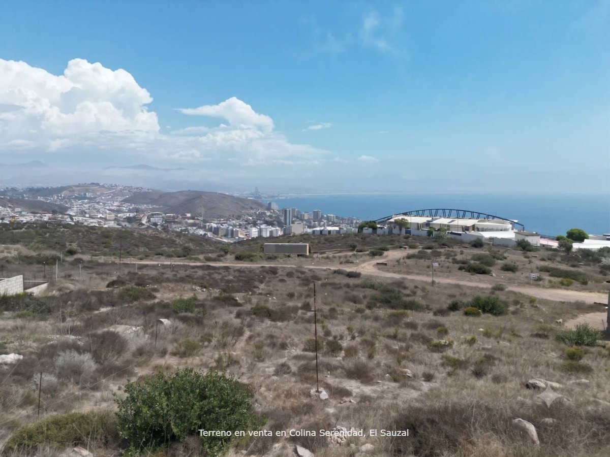 br_cantua's tweet photo. Terreno en venta | Vista al mar | Colina Serenidad, El Sauzal 🏠

BRC-56144

https://t.co/TlgfZdh8GI https://t.co/SSMXJYNwvW