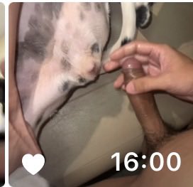 TheMostBeazelj's tweet photo. คลิปมาให่ม 6 รุมมีเห็นหน้าทุกคนแตก💦 https://t.co/hZWG89DDmU