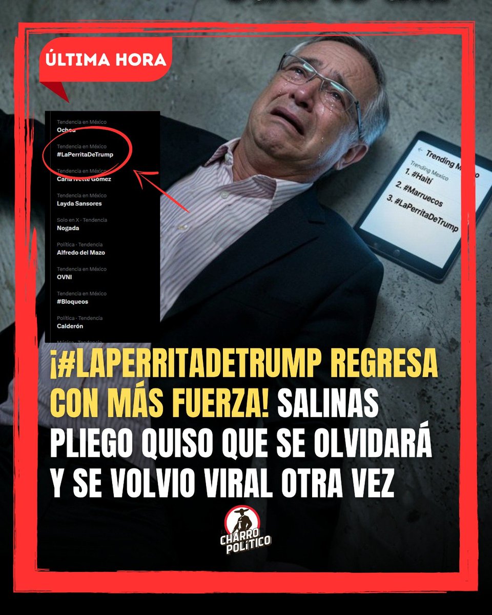 CharroPolitico's tweet photo. 🚨 ¡LE SALIÓ EL TIRO POR LA CULATA! #LAPERRITADETRUMP REGRESA CON MÁS FUERZA 🐶🔥
Ricardo Salinas Pliego intentó cambiar la conversación en redes sociales para dejar atrás el apodo que lo persigue desde la inauguración del Mundial 2026. Sin embargo, cada publicación que lanzó terminó provocando el efecto contrario. Miles de usuarios aprovecharon sus mensajes para revivir #LaPerritaDeTrump, inundando X con memes, críticas y burlas. Lo que buscaba sepultar terminó convertido nuevamente en tendencia nacional, recordándole que internet no olvida tan fácilmente.
👉 ¿Crees que intentó desviar la atención o solo empeoró la polémica? Déjalo en los comentarios.
📲 Comparte esta información.
#SalinasPliego #LaPerritaDeTrump #TVAzteca #TendenciasMX