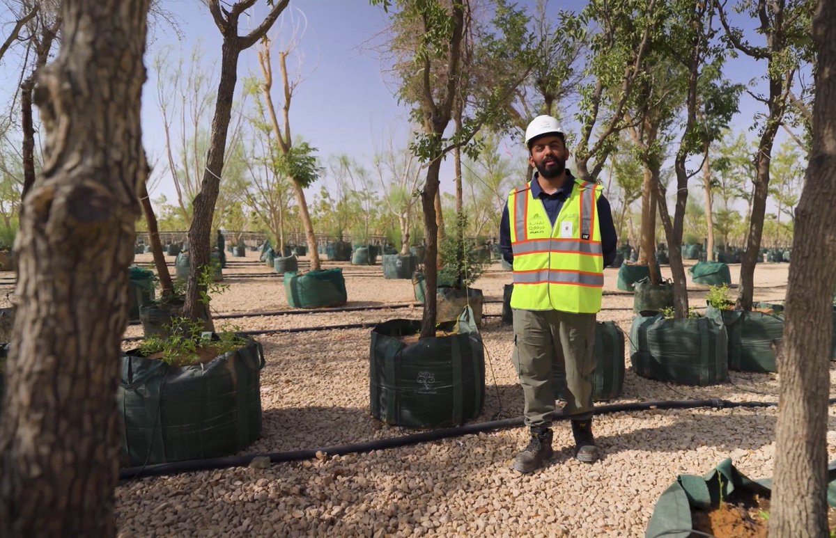 SaudiIntel's tweet photo. Images show the nursery supplying trees for Saudi Arabia’s multi-billion-dollar Qiddiya project, helping enhance quality of life and expand green spaces. https://t.co/mwdQYSEZc5