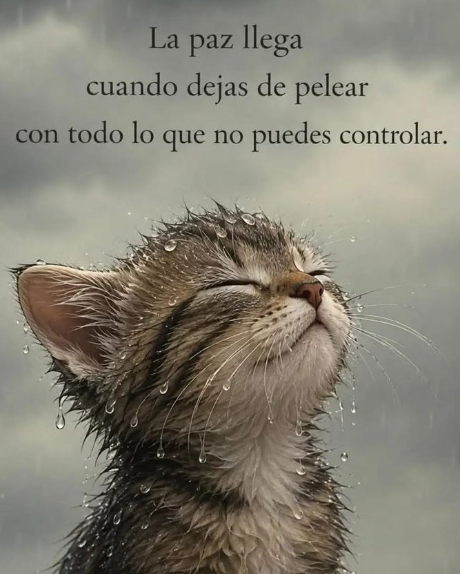 EsperanzaV0's tweet photo. La paz llega cuando . . . https://t.co/rlZwMgcPzp