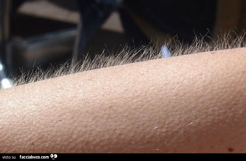 AlbiCoppi's tweet photo. Me lo sono sceso #temptationisland https://t.co/2Z8kQcbVaU
