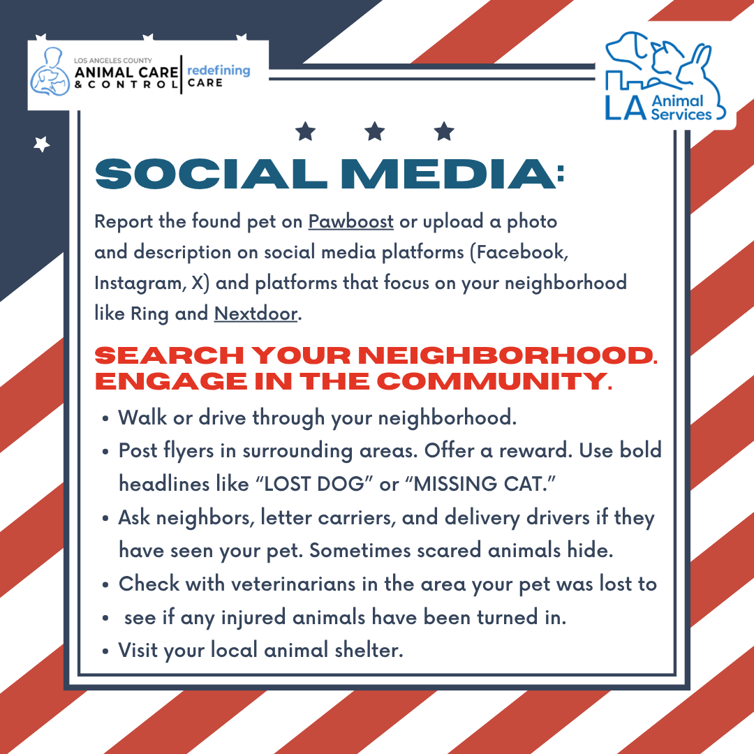 LACityPets's tweet photo. Pets can go missing quickly and it can be a traumatic experience for both pets and their owners. Learn more on what to do if your pet goes missing as we approach the 4th of July holiday. #LACityPets #4thOfJuly #Lost #Missing https://t.co/H0fDUu5X2i