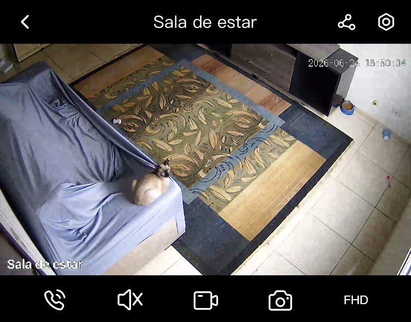 kristenstwarti's tweet photo. percebi que vai dando a hora de chegar em casa ela fica #assim me esperando https://t.co/jhejzDXWXs