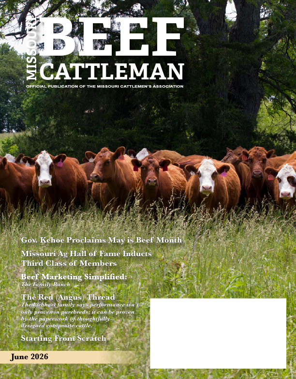 MoCattle's tweet photo. 🌟Missouri Beef Cattleman - June 2026🌟
https://t.co/8s3Bw9rXaM https://t.co/1ZOoDlckaI