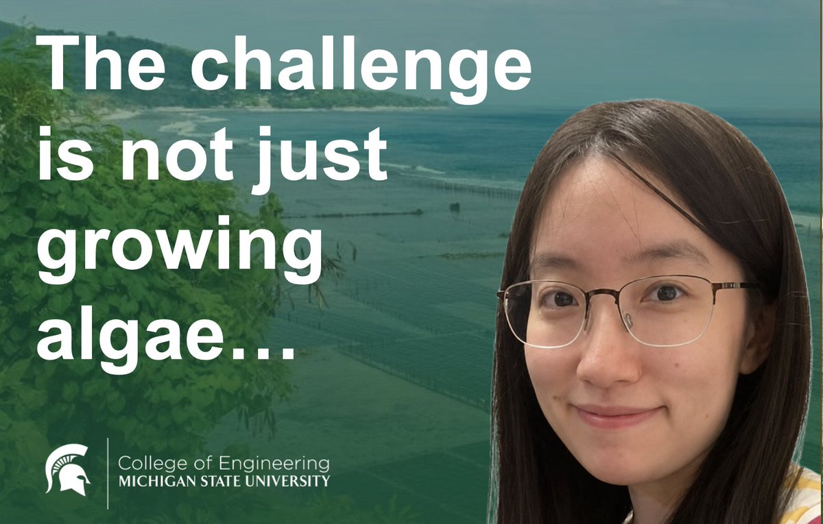 MSU College of Engineering tweet media