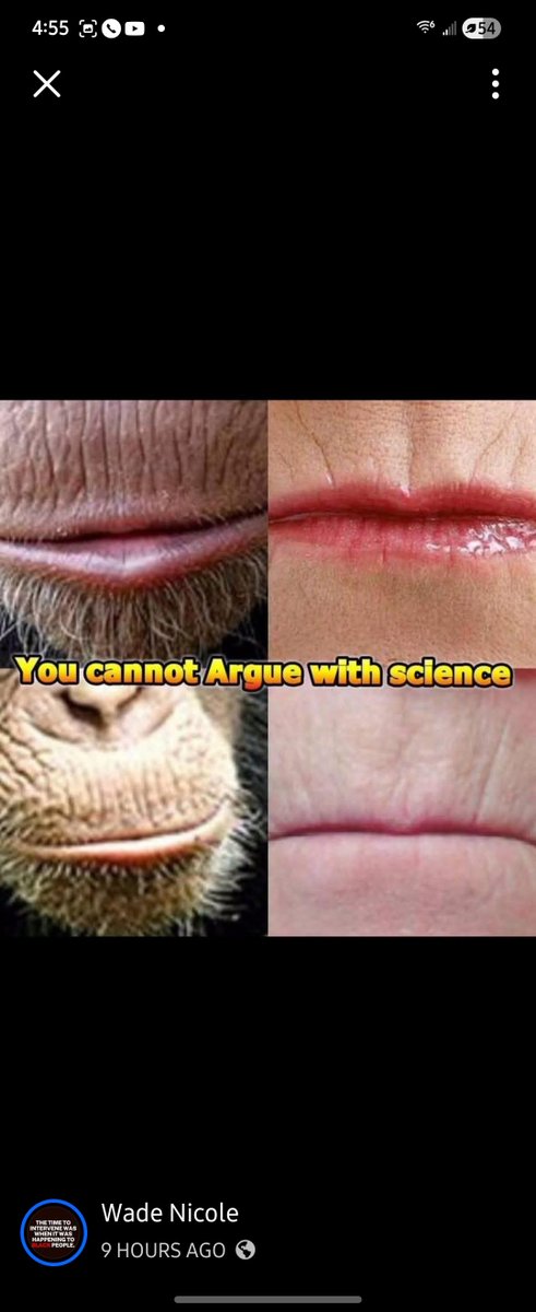 EasonSharp78190's tweet photo. @_R_E_V__2 Thin lips monkey https://t.co/GNDrBhG7xL