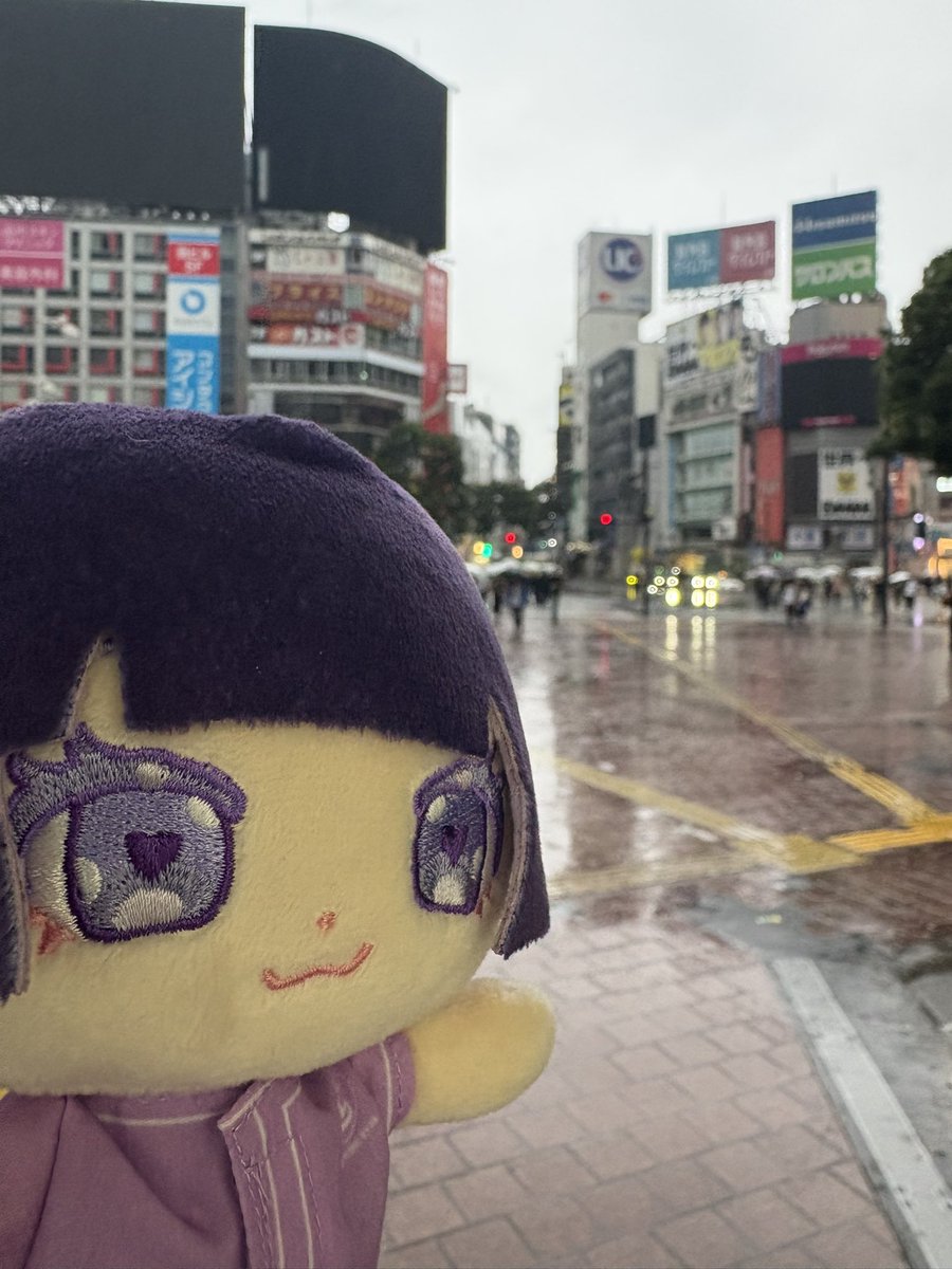 spmtlflv's tweet photo. やねちゃん、朝の渋谷だよ。 https://t.co/zowCy3D8Vn