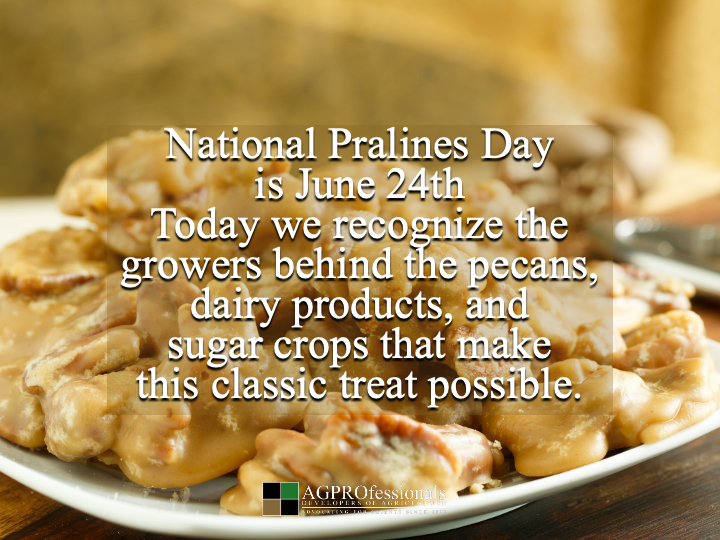 AGPRealEstate's tweet photo. 🍬🌰 Happy National Pralines Day!

A sweet reminder of the growers and producers who help bring America's favorite treats from the farm to the table.

#NationalPralinesDay #Agriculture #FarmToTable #AGPROfessionals https://t.co/smEMawmho0