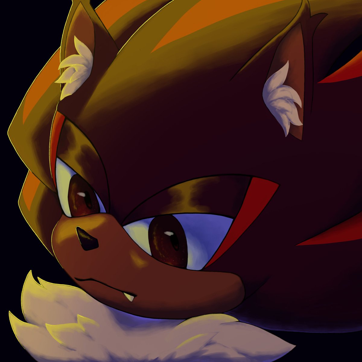 _mooncritter_'s tweet photo. Im very fond of Shadow the hedgehog✮ https://t.co/2elOBXHeNV