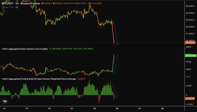THE SHORT BEAR tweet media