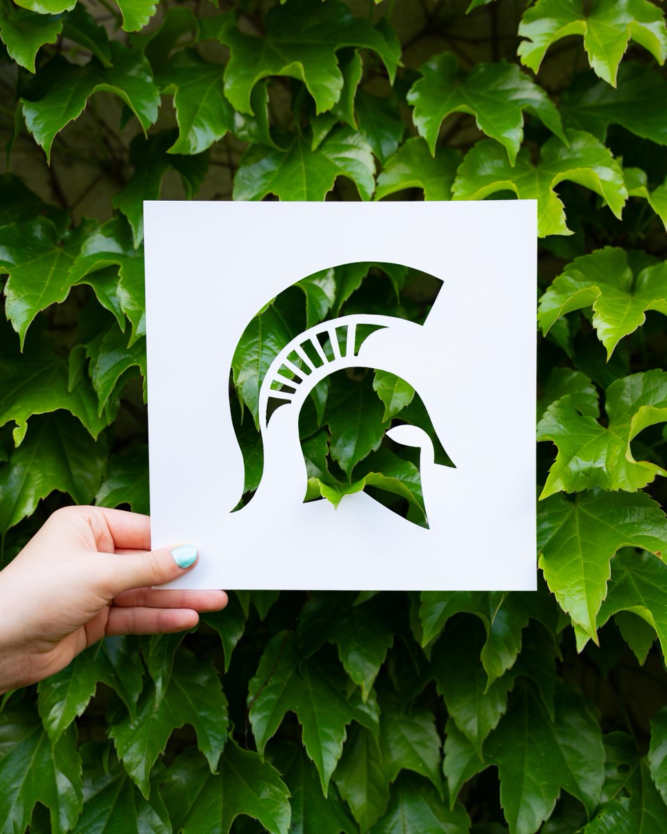 michiganstateu's tweet photo. O'er ivy covered halls. 💚 https://t.co/Zvl3RKsMo0