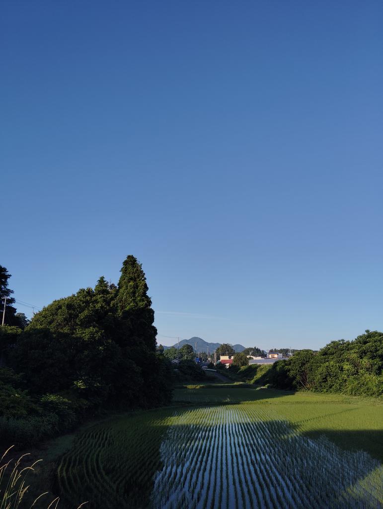 turnner2001's tweet photo. おはようございます！
ふるさと2日目の朝

気温11℃、湿度98%
霧も出てて、この時期にしては、肌寒い朝

今日もはりきって行きましょー❗❗

#イマソラ
#青森県南部町 https://t.co/J3S1HyXt8r