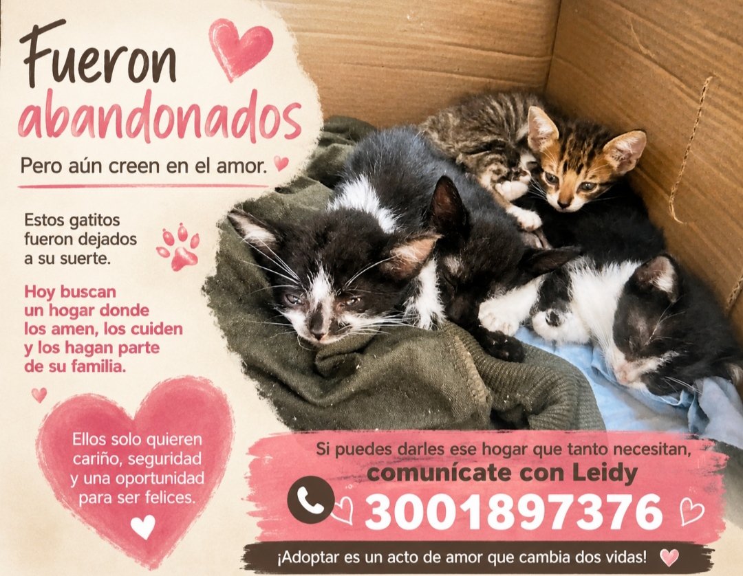 egocadavid's tweet photo. Si me ayudan con un RT se los agradezco. https://t.co/3Cq8jtAqaF