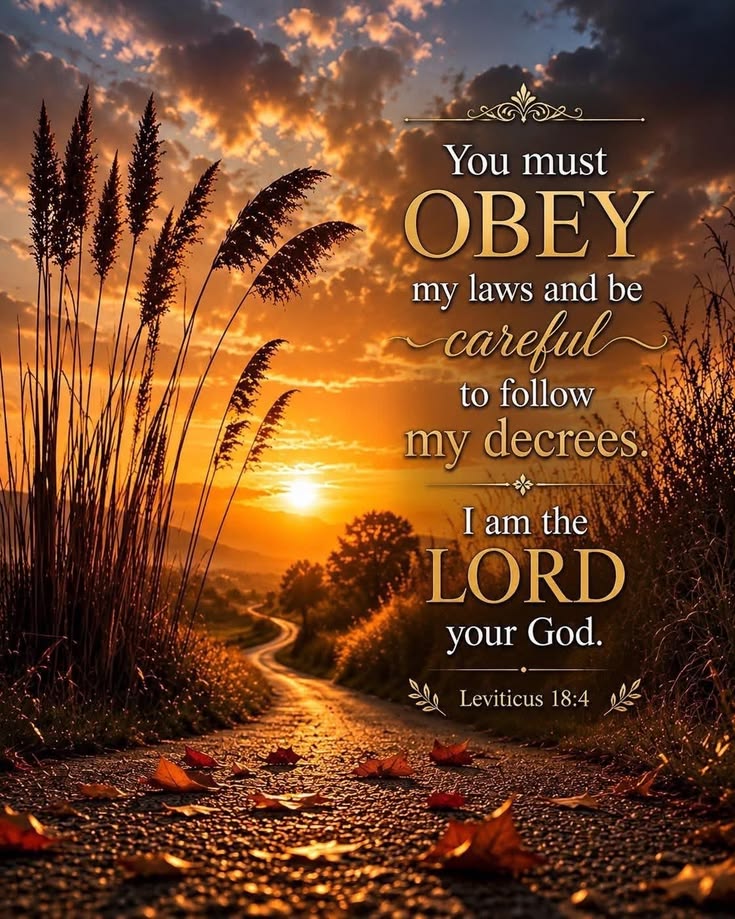 ProphetessAnya's tweet photo. Leviticus 18:4 NLT
You must obey all my regulations and be careful to obey my decrees, for I am the Lord your God. https://t.co/73Rqh92Lx5