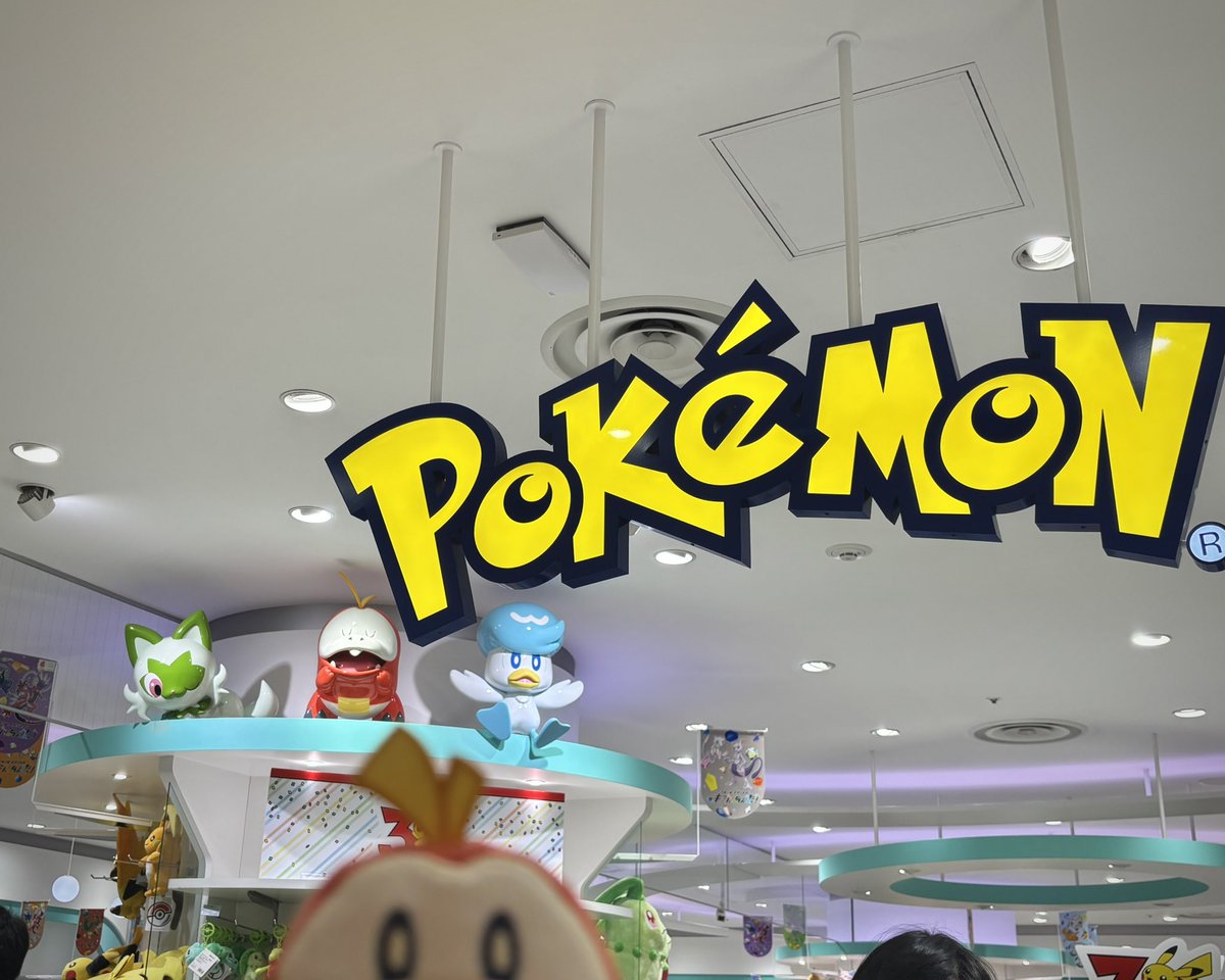 Hongeee__'s tweet photo. 札幌のホゲータ、高いところでるん🎶してた⋆⸜🔥⸝⋆ https://t.co/bJjRPFkgGz
