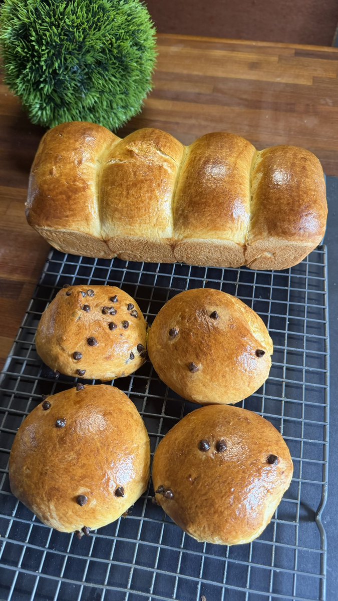 poum__'s tweet photo. D’AILLEURS instant pub, j’ai sorti un EBOOK spécial pain avec + de 40 recettes  (dont une dizaine de recettes caribéennes of course) et plein d’astuces ! pour ceux que ça intéresse 🫶🏽 c’est ici : https://t.co/ULH71e72jR https://t.co/tjK1qewKLF