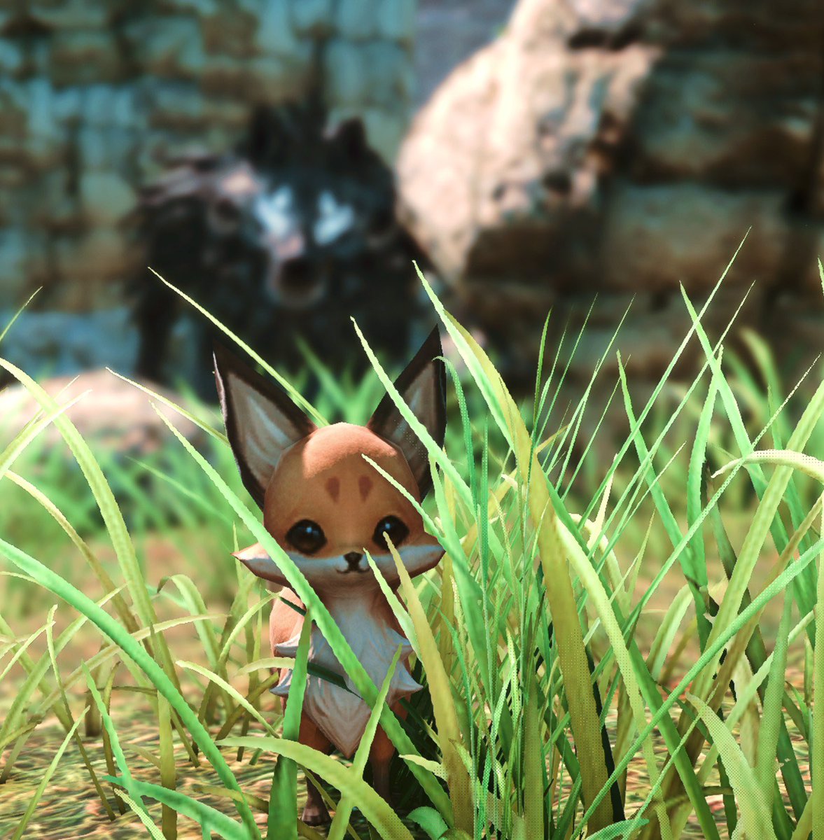 TobiVRC's tweet photo. What’s that in the back ground? 😅
#ffxiv #gpose #finalfantasty #foxes #brio https://t.co/hxZa8WzlNK