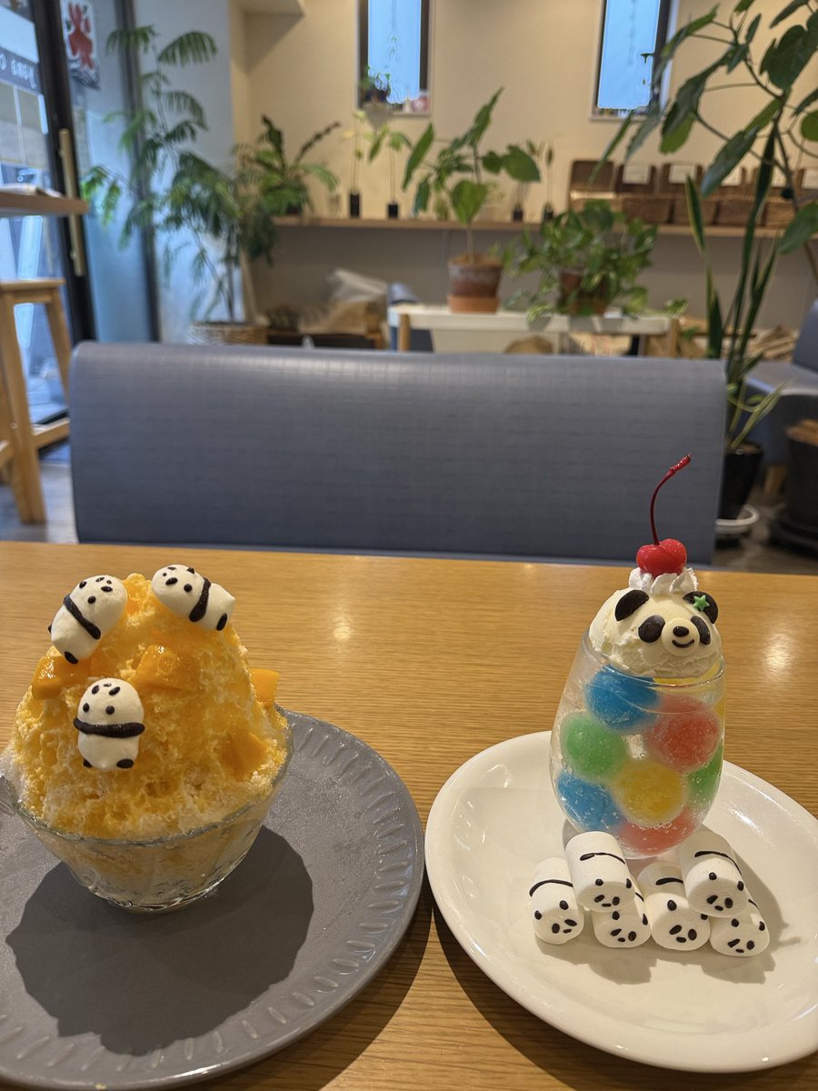 master96859424's tweet photo. 本日のかき氷はこちら💁

マンゴーヨーグルト氷🥭🧊🐼
ポンポンクリームソーダ🔴🟢🟡🔵🐼

さっっぶ🥶

#氷活
#からあげくん語録 https://t.co/4tzdI8v775