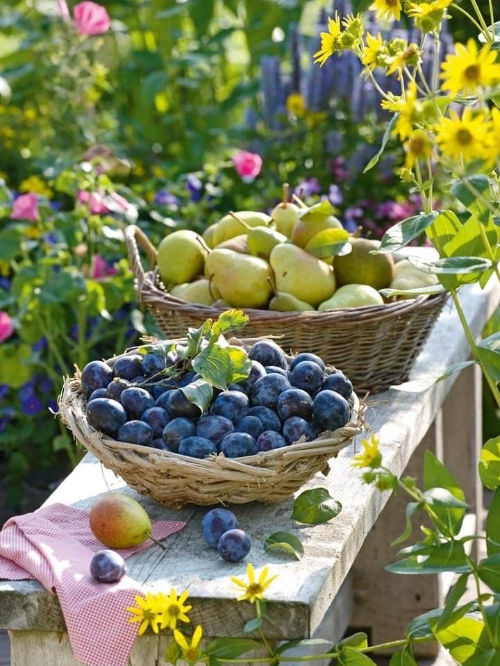 Foodyt42's tweet photo. Tasty Summer Fruits https://t.co/sJ1s6P3Udx