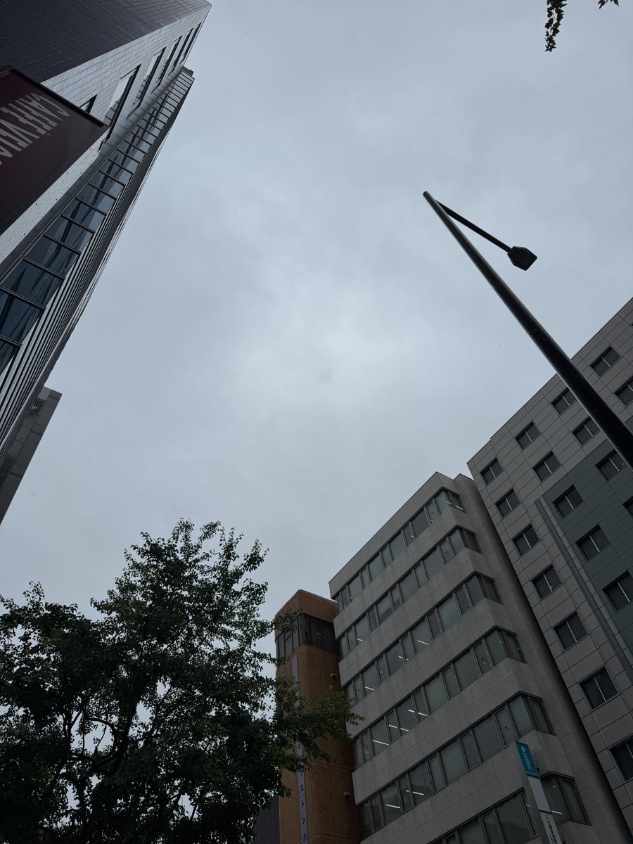 TeraBoxOfficial's tweet photo. おはようございます‼️
久々の大雨、長靴の出番です‼️☔️
風はそんなだったので助かりました😅

#みんなでムーンウォークの日 っ‼️
まだ映画を見れていないので
近いうちに時間を見つけたい🙏

それでは、本日もよろしくお願いします💪
 #企業公式が毎朝地元の天気を言い合う https://t.co/y0tmQ9gDdR