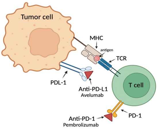JCM_MDPI's tweet photo. #mdpijcm
๐ฉบDon't miss this #Review
Citations 13
โจNovel Predictive Biomarkers in the Head and Neck Squamous Cell Carcinoma (#HNSCC)
๐https://t.co/Oxx1gHqMMY
@MediPharma_MDPI
#immunotherapy #predictivebiomarkers https://t.co/7AM43AmLhF