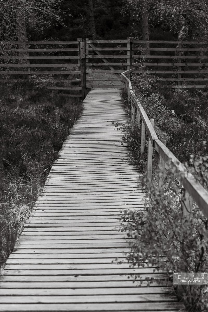 emmasamuelphoto's tweet photo. Every journey eventually brings us to a gate we cannot see past. It’s the moment where comfort ends and inevitability takes over. It’s the realisation that staying still is no longer an option, and turning back isn't one either. It's moving forward simply because time and life demand momentum, even if you are stepping into the unknown with absolute uncertainty.

"Absolute Uncertainty"