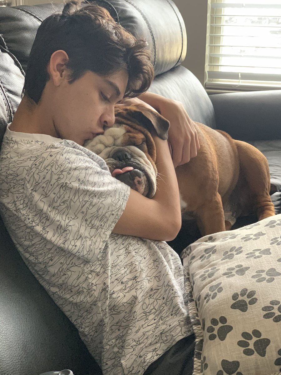 AKCHercules's tweet photo. Hercules and I have made a decision. We are going to choose a soft exit meaning we will celebrate his life and his passing will be the last event we share together when the time is right. 

I want to hold him and make sure his Daddy's eyes are the last he sees. I don't want it to be with strangers at a hospital and my last of view him walking off with a vet tech and him wondering why is daddy staying and not coming with me. Or be in a kennel alone or be on a gurney bed when he is let go of if the exploratory surgery doesn't go well, which there is a higher chance even with the CT scan we would have to complete next. I would have to take him on a 4 hour road trip from Fort Worth to The Woodlands outside of Houston. We would have to make two trips in a week's time in hot July in Texas. 

Even if it was a successful and the cancer was removed. There's no guarantee since he is already cancer prone with two different cancers already that more would not pop up soon after and we are back where we started. Plus at his age and quality of life and the recovery would take a huge toll. When this started almost two weeks ago, my main concern is and still is his dignity, overall quality of life and pain and suffering. 

@TheHerdHouse and few others have volunteered to help me with creating a Gofundme to help with the very high costs of medical exams, medications, ultrasound and now chemo over a period of 9 weeks.  

I will make a more formal announcement and share the link when an official Gofundme is created. I just wanted to announce what Hercules and I have decided. I am going to love on him and make sure he knows Daddy is with him till the end. My Ride or Die, Hercules aka "Teddy Bear". 🧸🧡

#PrayforHercules #dogsoftwitter #dogs #dogsofX #dog #adoptdontshop #rescuedogs #Cancersucks 🙏♥️🐶