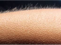 globoplay's tweet photo. O ESTÁDIO INTEIRO CANTANDO O HINO BRASILEIROOOOOO #CopaNaGlobo #TorcidaGloboplay https://t.co/IvfFztvuni