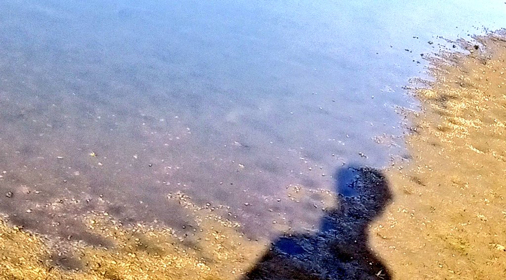 Prabha_Mente's tweet photo. #BeachLife🐷Click📸at🐷3:11🐷
#ShadowTwitter🐖
🐽Prabha🐷vanthiruken🐖3:48🐖 https://t.co/HYaVDtkzyx
