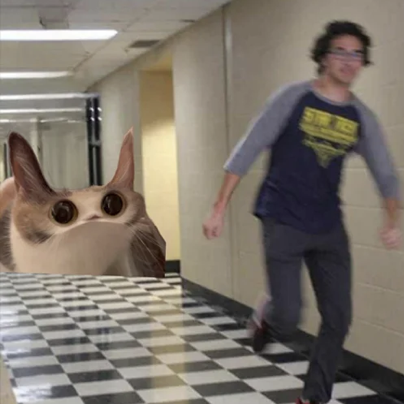 ItsTymo's tweet photo. @Maverickdotsol Meep is inevitable https://t.co/DeEG6x7d8x