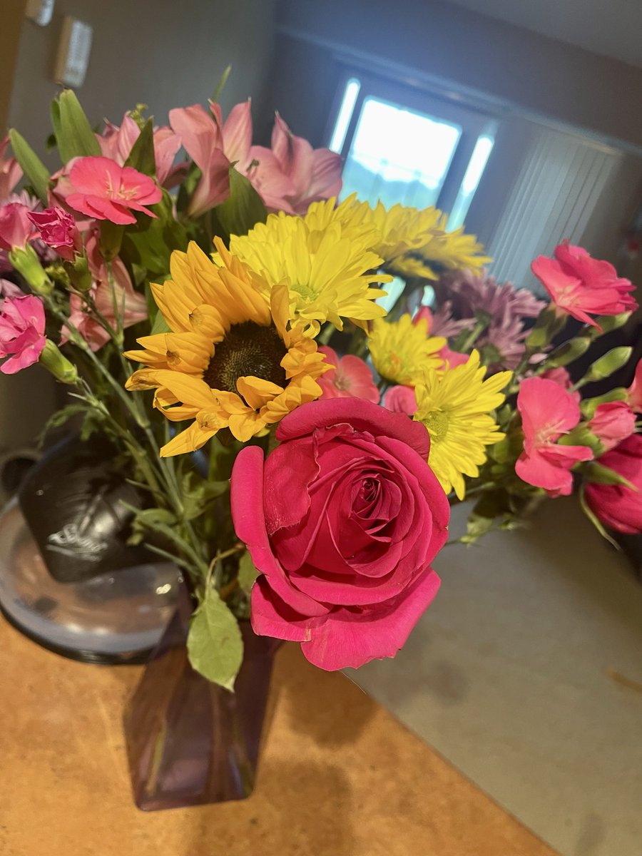 SentaiVR's tweet photo. Cutie Basil &amp; Pretty Flowers 🩷💜🌹🌸🌺🌷🌻 https://t.co/4GfjASG1QM